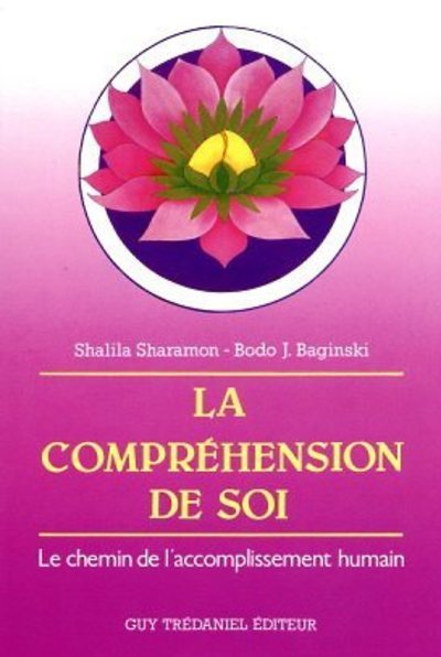 COMPREHENSION DE SOI (LA)