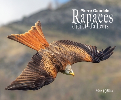 RAPACES D´ ICI ET D´ AILLEURS