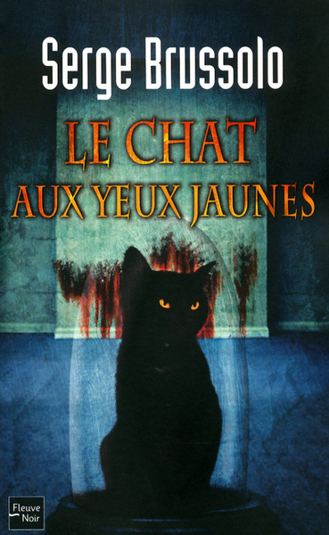 AGENCE 13 T3 LE CHAT AUX YEUX JAUNES