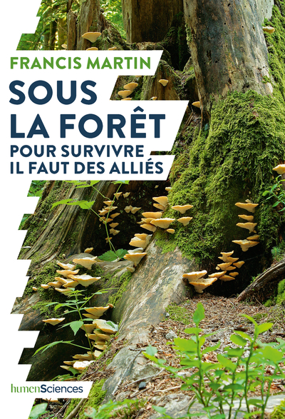 SOUS LA FORET - POUR SURVIVRE IL FAUT DES ALLIES