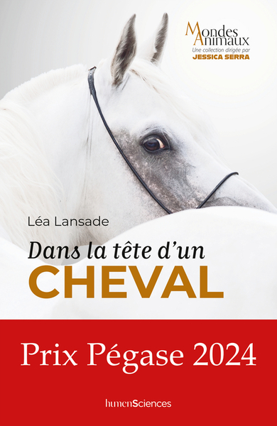 DANS LA TETE D´UN CHEVAL