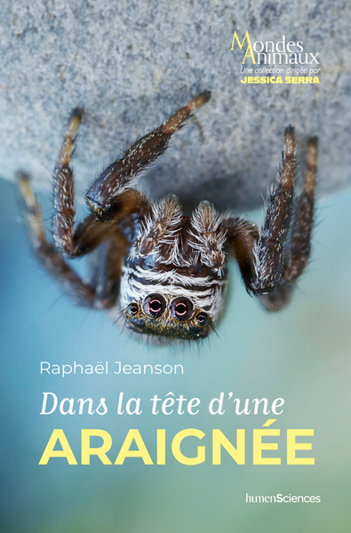 DANS LA TETE D´UNE ARAIGNEE