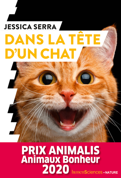 DANS LA TETE D´UN CHAT