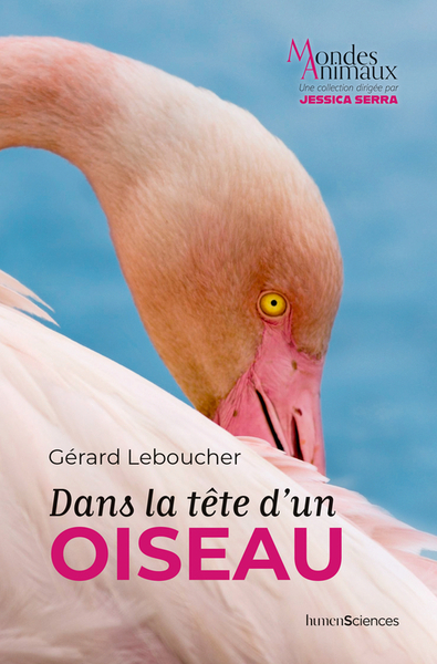 DANS LA TETE D´UN OISEAU