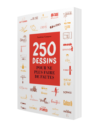 250 DESSINS POUR NE PLUS FAIRE DE FAUTES - POCHE