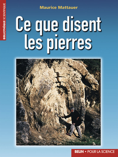 CE QUE DISENT LES PIERRES