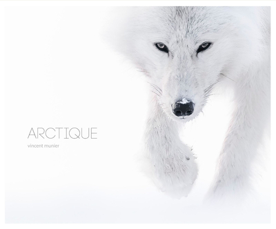 ARCTIQUE