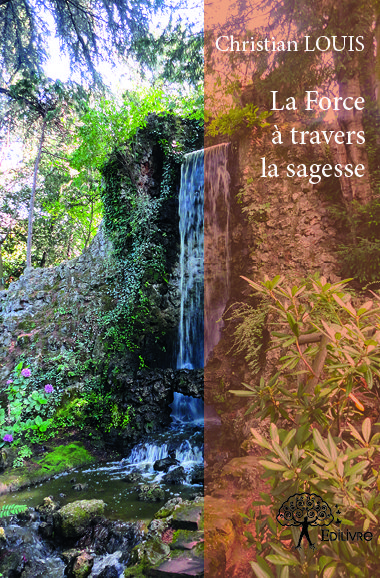 FORCE A TRAVERS LA SAGESSE