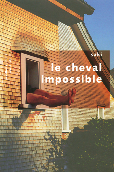 CHEVAL IMPOSSIBLE - PAVILLONS POCHE