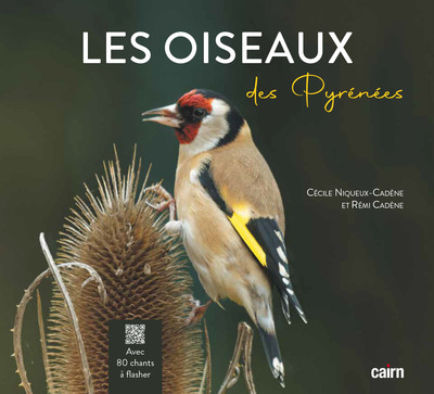 OISEAUX DES PYRENEES