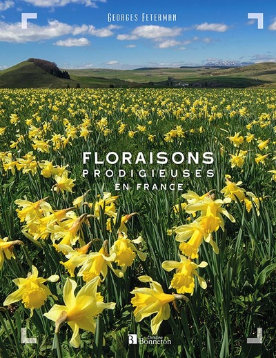 FLORAISONS PRODIGIEUSES EN FRANCE