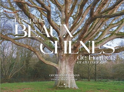 PLUS BEAUX CHENES DE FRANCE ET DU MONDE
