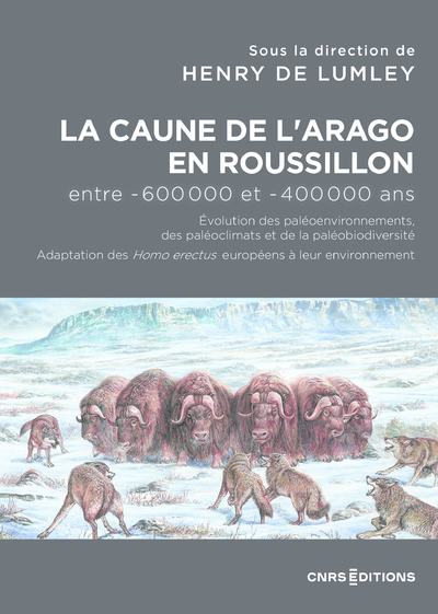 CAUNE DE L´ARAGO EN ROUSSILLON ENTRE -600 000 ET -400 000 ANS - LES HOMO