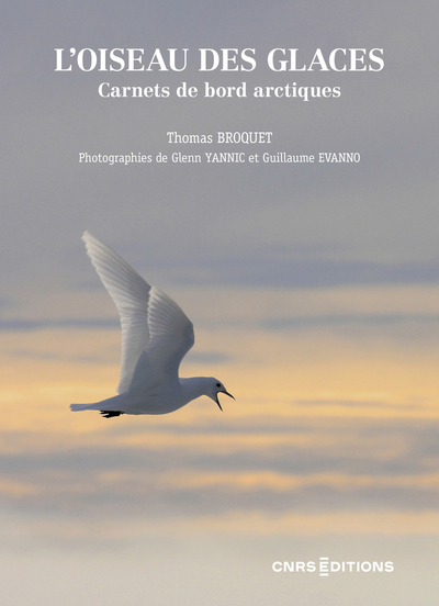 L´OISEAU DES GLACES. CARNETS DE BORD ARCTIQUES