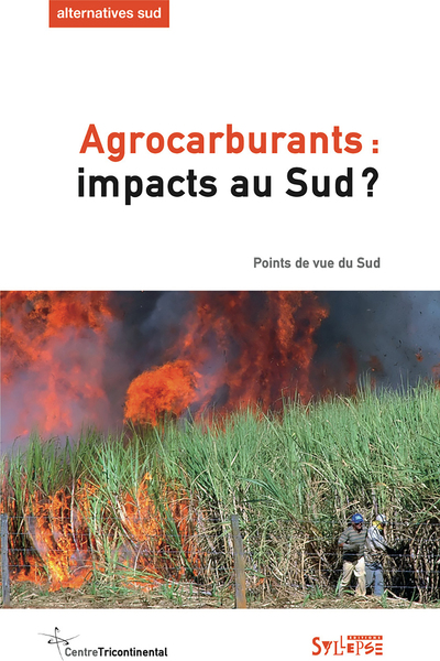 AGROCARBURANTS IMPACTS AU SUD