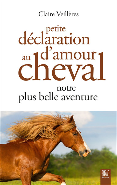 PETITE DECLARATION D´AMOUR AU CHEVAL, NOTRE PLUS BELLE AVENTURE