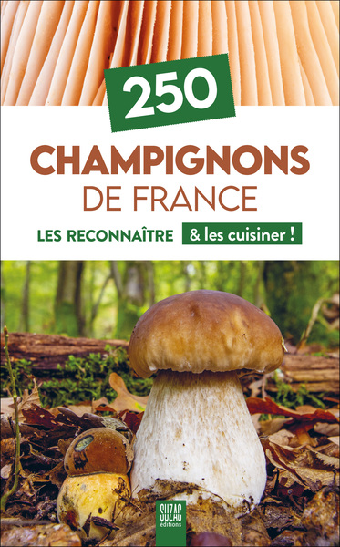 250 CHAMPIGNONS DE FRANCE - LES RECONNAITRE & LES CUISINER