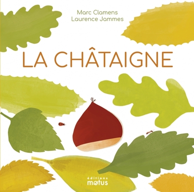 CHATAIGNE