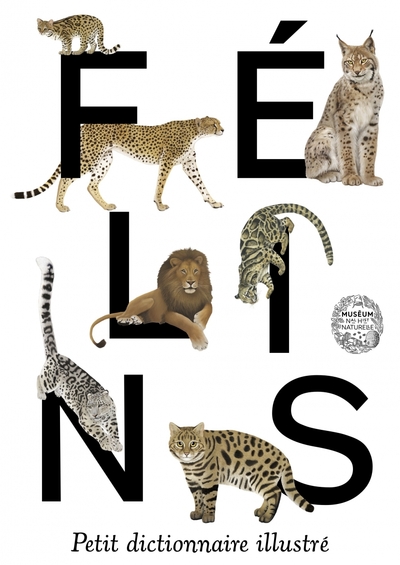FELINS. PETIT DICTIONNAIRE ILLUSTRE