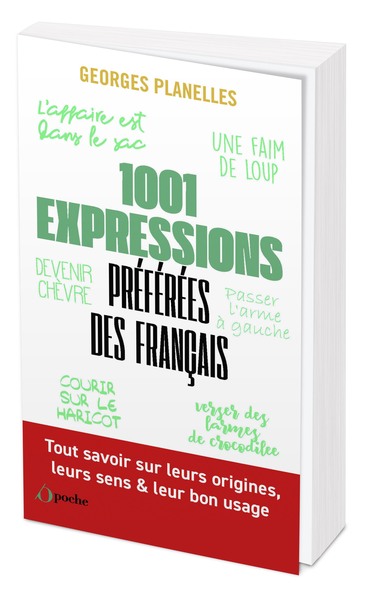 1001 EXPRESSIONS PREFEREES DES FRANCAIS