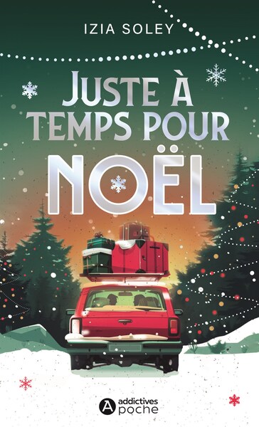 JUSTE A TEMPS POUR NOEL !