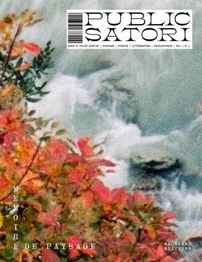 PUBLIC SATORI.