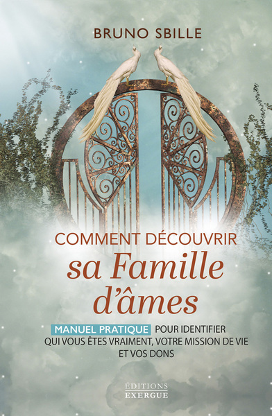 COMMENT DECOUVRIR SA FAMILLE D´AMES - MANUEL PRATIQUE POUR IDENTIFIER QUI VOUS ETES VRAIMENT, VOTRE