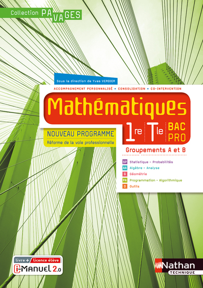 MATHEMATIQUES 1RE/TERM BAC PRO - GROUPEMENTS A ET B (MANUEL) - (PAVAGES) - 