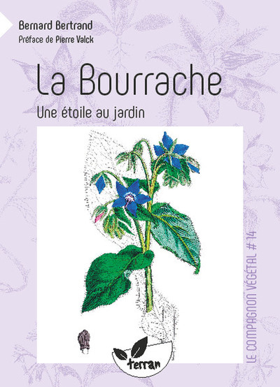 BOURRACHE, UNE ETOILE AU JARDIN - VOL. 14