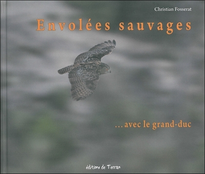 ENVOLEES SAUVAGES AVEC LE GRAND-DUC