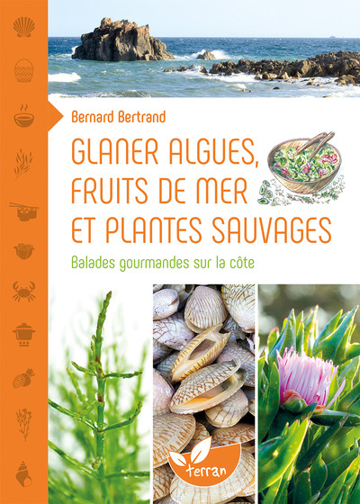 GLANER ALGUES, FRUITS DE MER ET PLANTES SAUVAGES - BALADES GOURMANDES SUR LA COTE