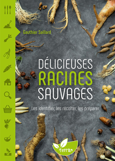 DELICIEUSES RACINES SAUVAGES  LES IDENTIFIER, LES RECOLTER, LES PREPARER