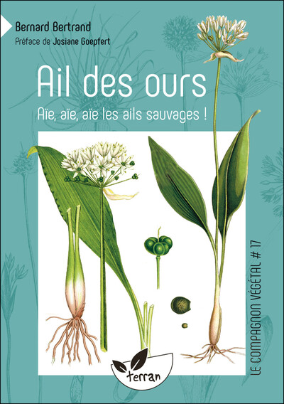 AIL DES OURS, AIL ROSE, AIL DES CERFS, AIL A TETE RONDE... VOL. 17