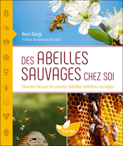 DES ABEILLES SAUVAGES CHEZ SOI - FAVORISER L´ACCUEIL DE COLONIES D´ABEILLES