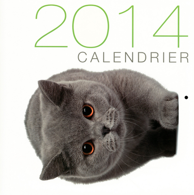 CALENDRIER MURAL CHATS 2014