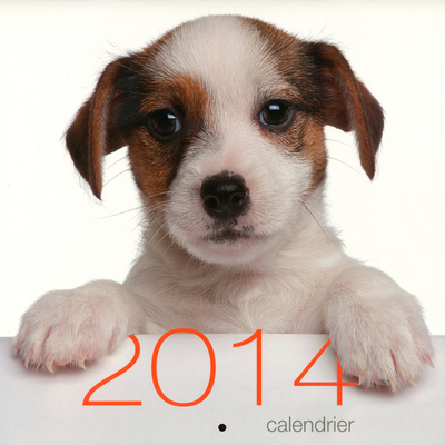 CALENDRIER MURAL CHIENS 2014