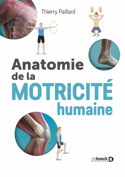 ANATOMIE DE LA MOTRICITE HUMAINE