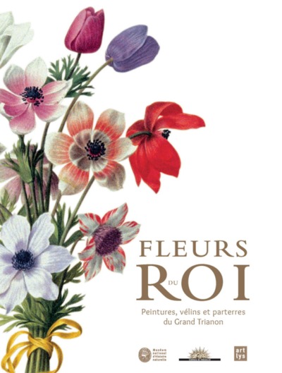 FLEURS DU ROI