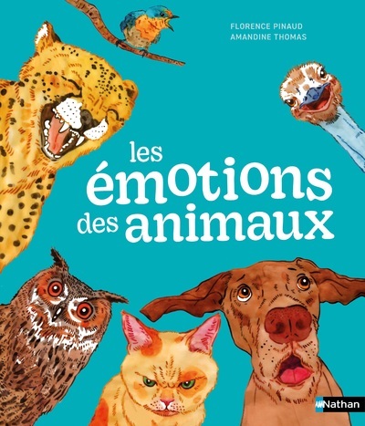 EMOTIONS DES ANIMAUX