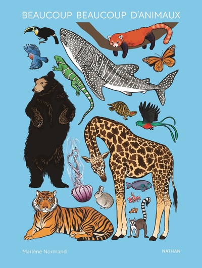 BEAUCOUP BEAUCOUP D´ANIMAUX