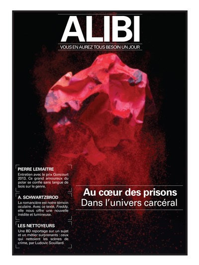 ALIBI - AU COEUR DES PRISONS, TOME 4