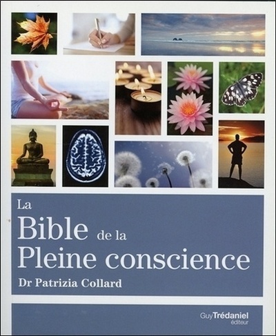 BIBLE DE LA PLEINE CONSCIENCE (LA)