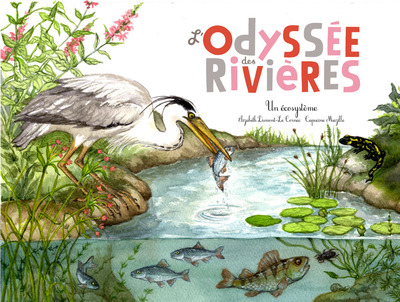 ODYSEE DES RIVIERES (L´)  (COLL. OHE LA SCIENCE !)