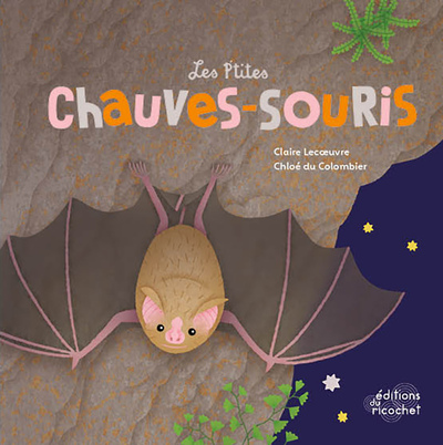 P´TITES CHAUVE-SOURIS