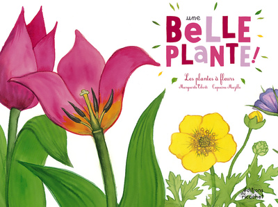 BELLE PLANTE (COLL. OHE LA SCIENCE) - LES PLANTES A FLEURS