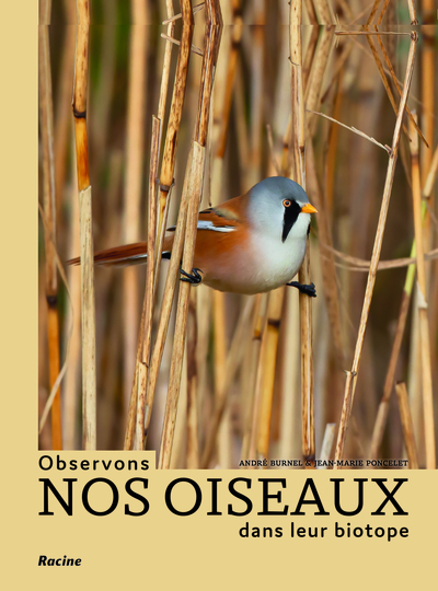 OBSERVONS NOS OISEAUX DANS LEUR BIOTOPE - PLUS DE 200 ESPECES REPERTORIEES