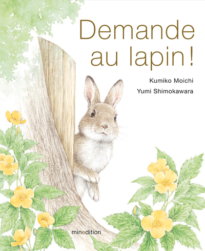 DEMANDE AU LAPIN !