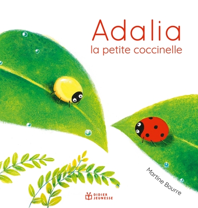 ADALIA, LA PETITE COCCINELLE