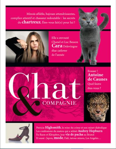 CHAT & COMPAGNIE N 1