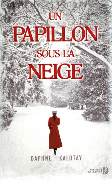 PAPILLON SOUS LA NEIGE